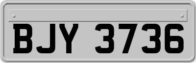 BJY3736