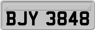 BJY3848