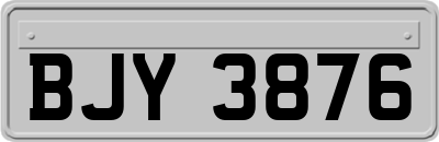 BJY3876
