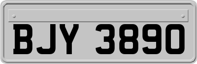 BJY3890