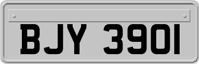 BJY3901