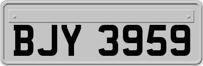 BJY3959