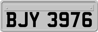 BJY3976