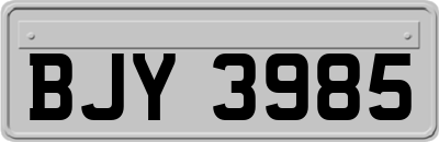 BJY3985