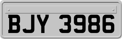 BJY3986