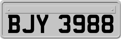 BJY3988