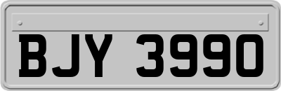 BJY3990