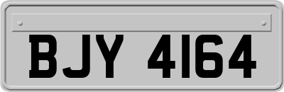BJY4164
