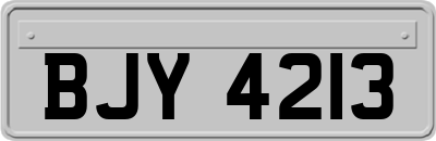 BJY4213