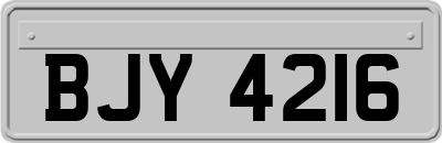 BJY4216
