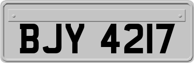 BJY4217