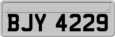 BJY4229