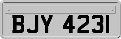 BJY4231