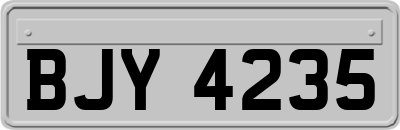 BJY4235