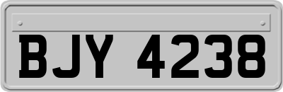 BJY4238