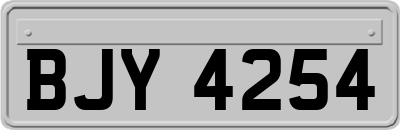BJY4254