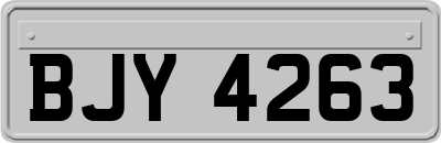 BJY4263