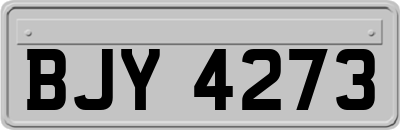 BJY4273
