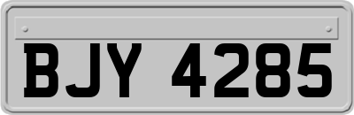 BJY4285