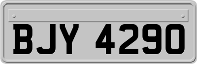 BJY4290