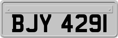 BJY4291