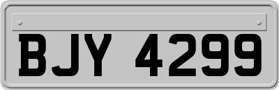 BJY4299