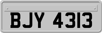 BJY4313