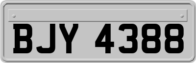 BJY4388