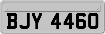 BJY4460