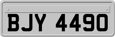 BJY4490