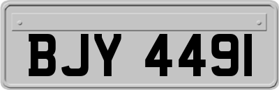 BJY4491