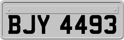 BJY4493