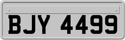 BJY4499