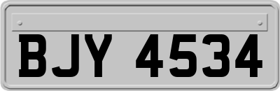 BJY4534