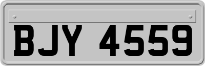 BJY4559