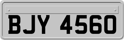 BJY4560