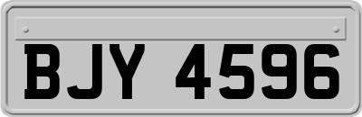 BJY4596