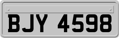 BJY4598