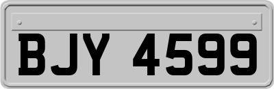 BJY4599