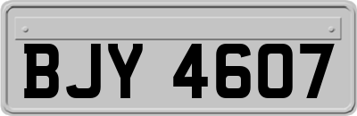 BJY4607