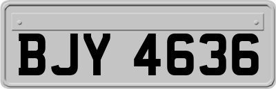 BJY4636