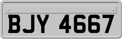 BJY4667