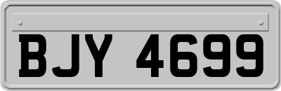 BJY4699
