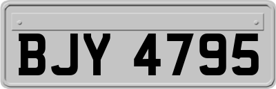 BJY4795