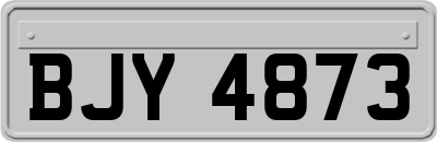 BJY4873