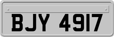 BJY4917