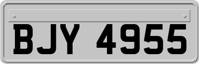 BJY4955