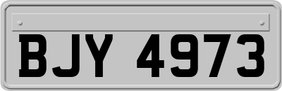 BJY4973