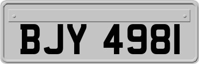 BJY4981