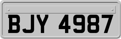 BJY4987